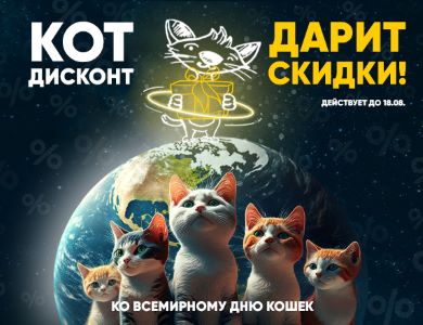Кот дисконт дарит скидки! 