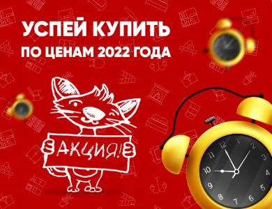 Успей купить по ценам 2022 года