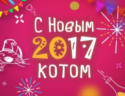С Новым 2017 Котом!
