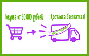 Бесплатная доставка