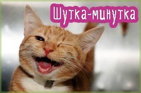 Шутка-минутка