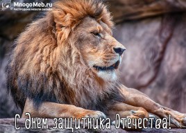 С Днем защитника Отечества