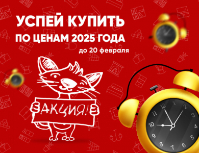 Успей купить по ценам 2025 года (завершена)