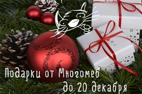 6 дней до конца новогодней акции!