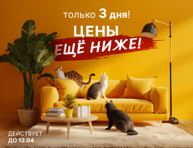 Цены еще ниже! (завершена)