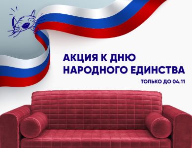 Акция к Дню народного единства