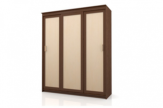 Шкаф-купе "Сакура-6"