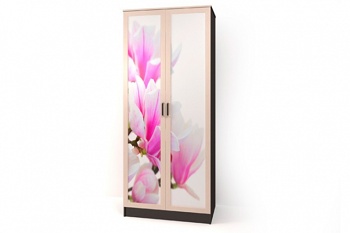 Шкаф двухстворчатый "Стайл Люкс-ДФ" Дф(1)