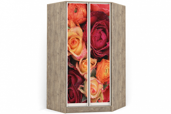 Шкаф угловой двустворчатый "Версаль" распашной П\Б\П фотопечать