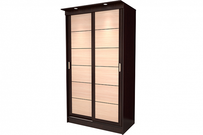 Шкаф-купе "Миллениум Лайн 2х"