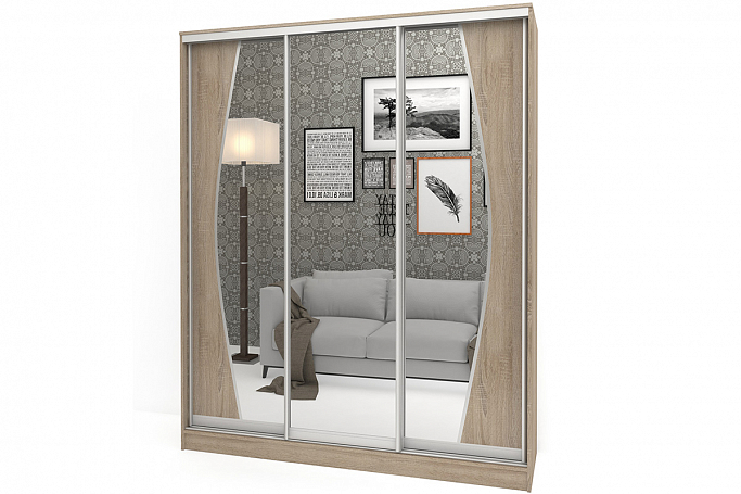 Шкаф-купе "Аурум 12"