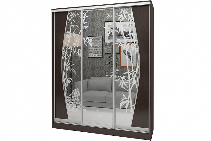 Шкаф-купе "Аурум 12" пескоструй