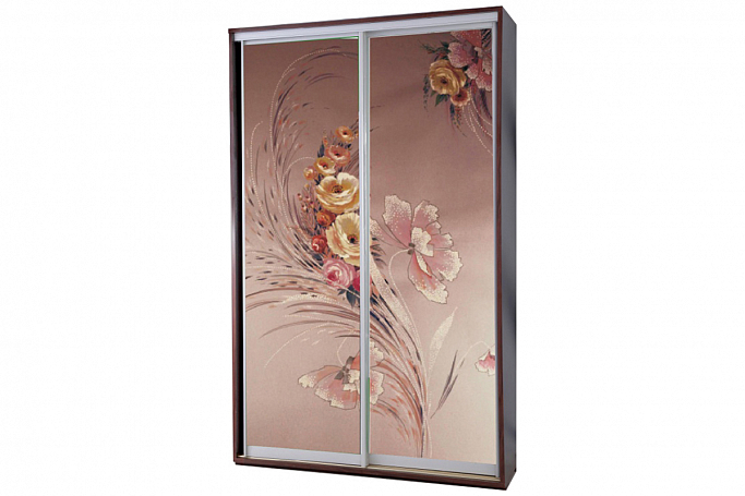 Шкаф-купе "Титан Ф" 2-створчатый