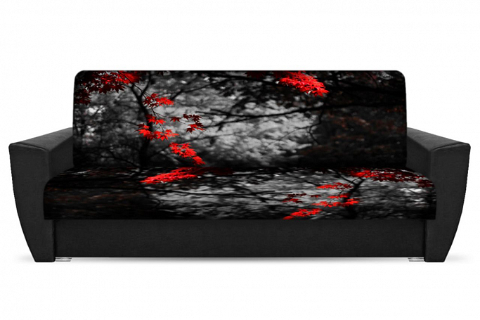 Диван-кровать "Монохром" 10, фото-принт