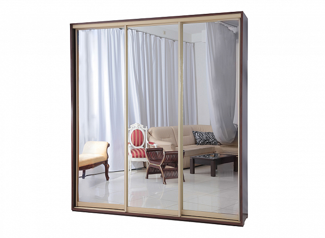 Шкаф-купе "Титан-9"