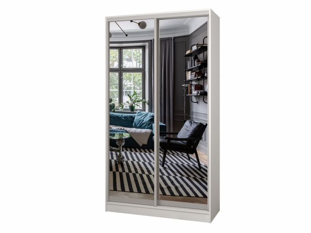 Шкаф-купе "Борнео-2-5" 2-х дверный, компоновка 2