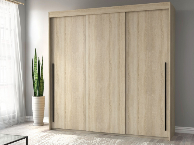 Шкаф-купе "Миллениум Люкс 3х" Компоновка 3