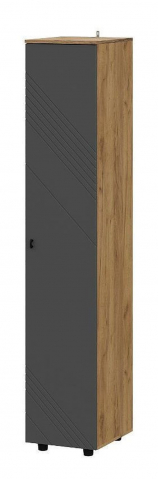 Пенал "Байкал" дуб золотой/графит