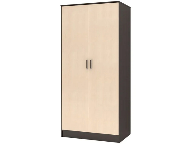 Шкаф распашной 2-х створчатый "Лайт", 100х60х220, венге/дуб млечный