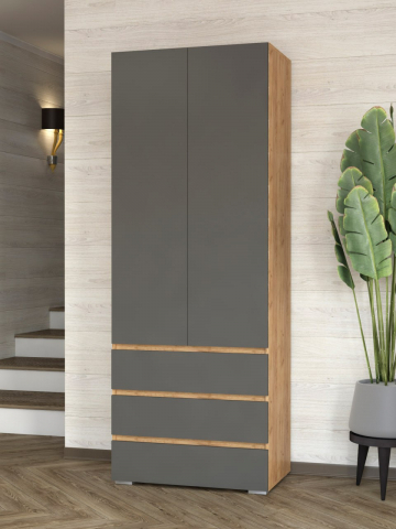 Шкаф двухстворчатый "Дорт-2.3", дуб крафт золотой/графит